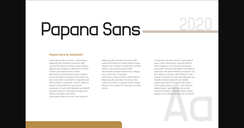 Papana Sans Font Poster 5