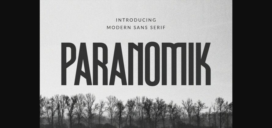 Paranomik Font Poster 3