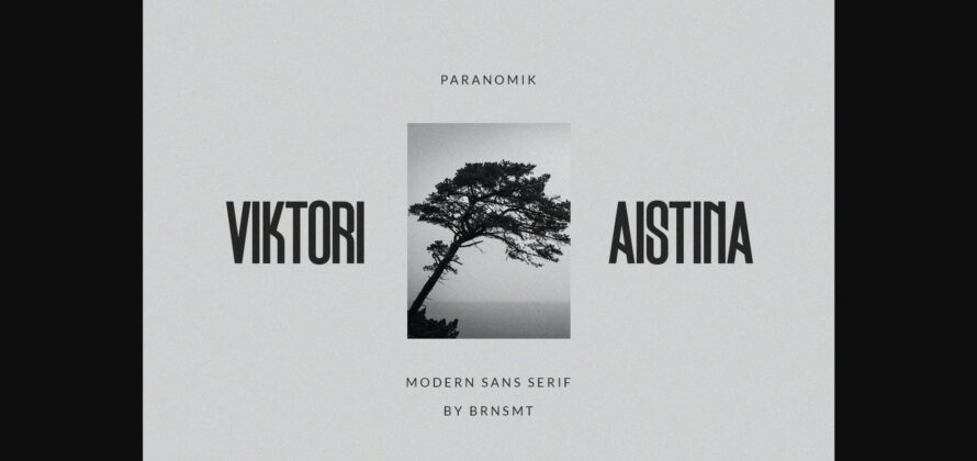 Paranomik Font Poster 7