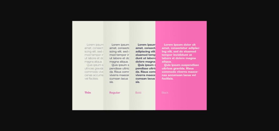 Parkin Sans Font Poster 5