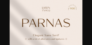 Parnas Sans Font Poster 1