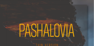 Pashalovia Thin Fonts