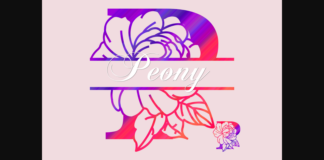 Peony Split Font Poster 1