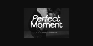 Perfect Moment Font Poster 1