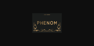 Phenom Black Font Poster 1