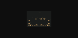 Phenom Thin Font Poster 1