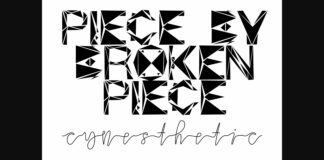 Piece by Broken Piece Font Poster 1