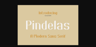 Pindelas Font Poster 1