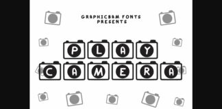 Play Camera Font Poster 1