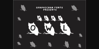 Play Owl Font Poster 1