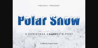 Polar Snow Font Poster 1