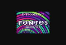 Pontos Font Poster 1