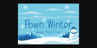 Pown Winter Font Poster 1