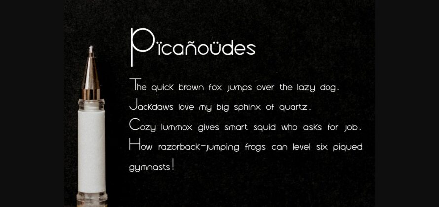 Picanoudes Font Poster 9