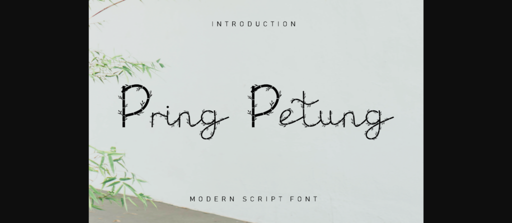 Pring Petung Font Poster 3