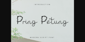 Pring Petung Font Poster 1