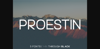 Proestin Font Poster 1