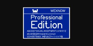 Professional Edition Font Poster 1