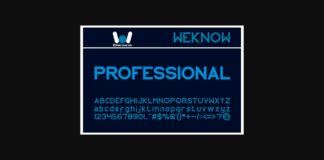 Professional Font Poster 1