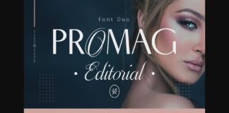 Promag Duo Font Poster 1