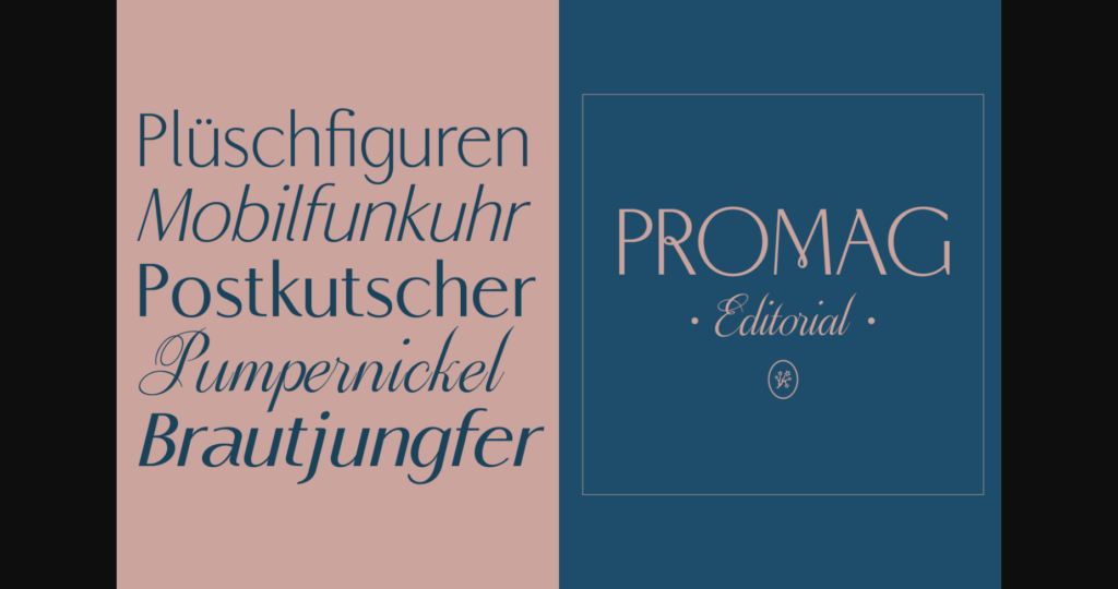 Promag Duo Font Poster 10