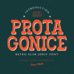 Prota Gonice Fonts