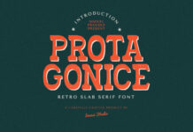 Prota Gonice Fonts