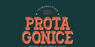 Prota Gonice Fonts