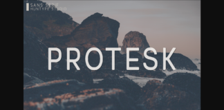 Protesk Font Poster 1