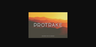 Protrake Font Poster 1