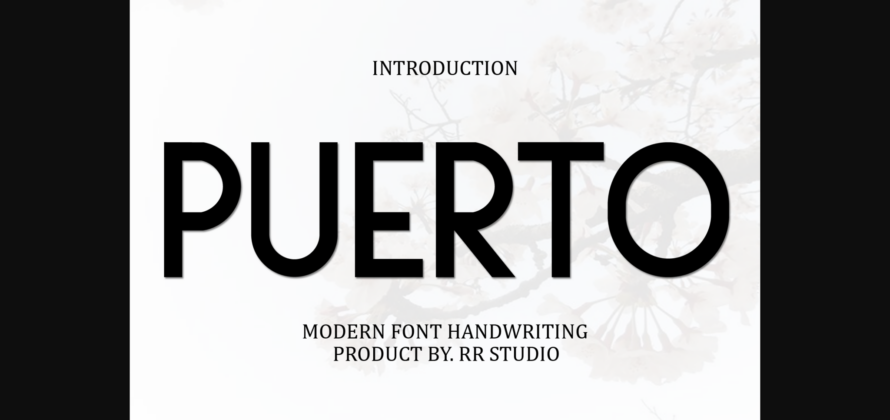 Puerto Font Poster 3