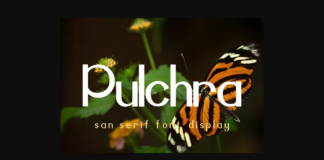 Pulchra Font Poster 1