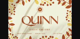 Quinn Font Poster 1