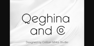 Qeghina and Co Font Poster 1