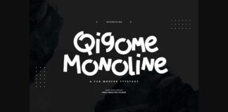 Qigome Monoline Font Poster 1