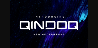 Qindo Font Poster 1