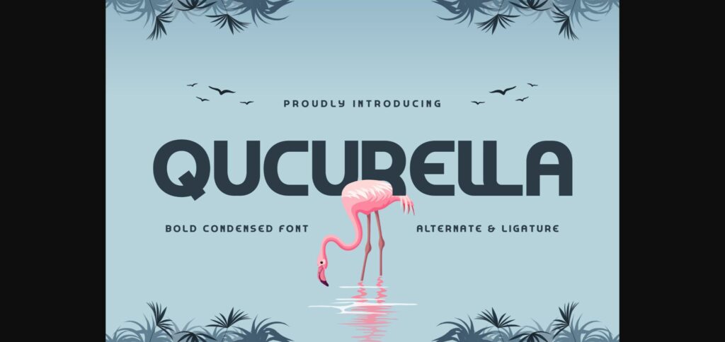 Qucurella Font Poster 3