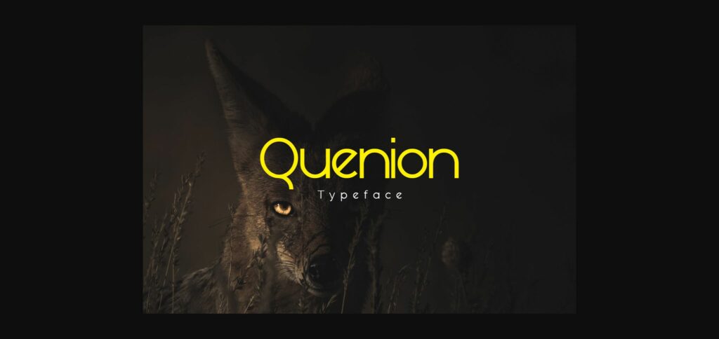 Quenion Font Poster 3