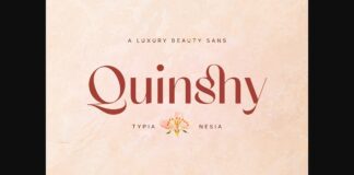 Quinshy Font Poster 1