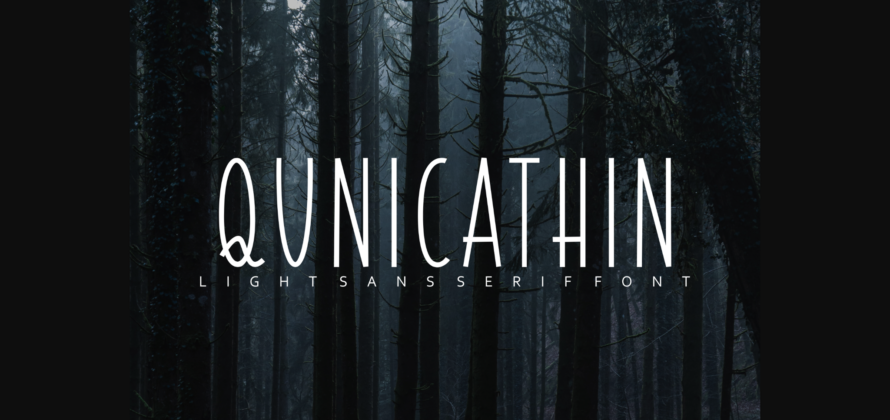 Qunicathin Font Poster 3