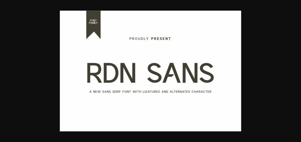 Rdn Sans Font Poster 3