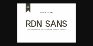 Rdn Sans Font Poster 1