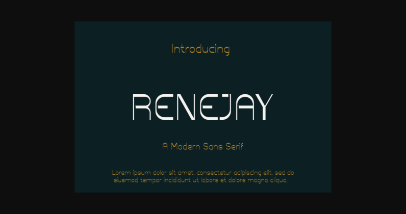 Renejay Font Poster 3