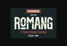 Romang Font Poster 1