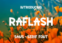 Raflash Font Poster 1