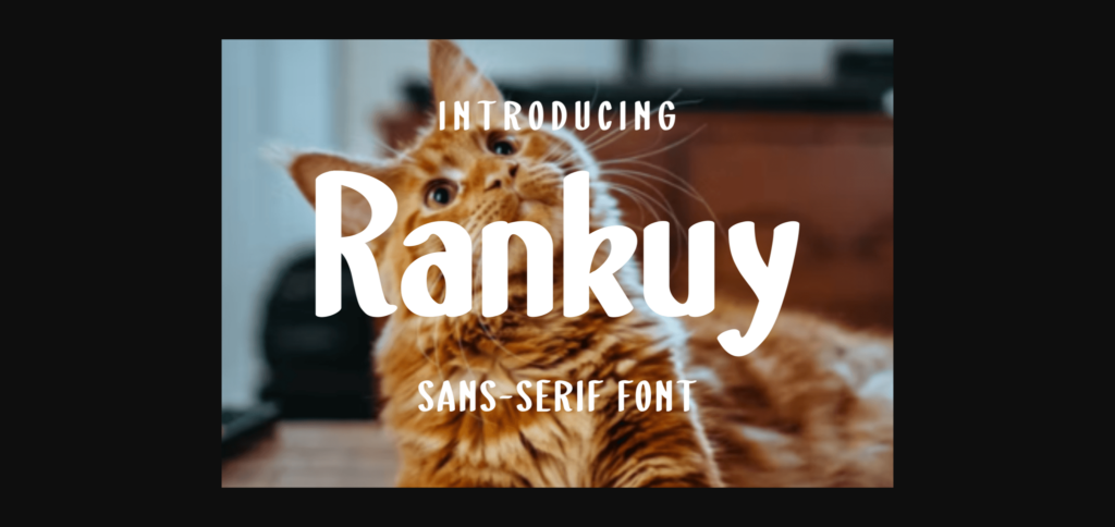 Rankuy Font Poster 3