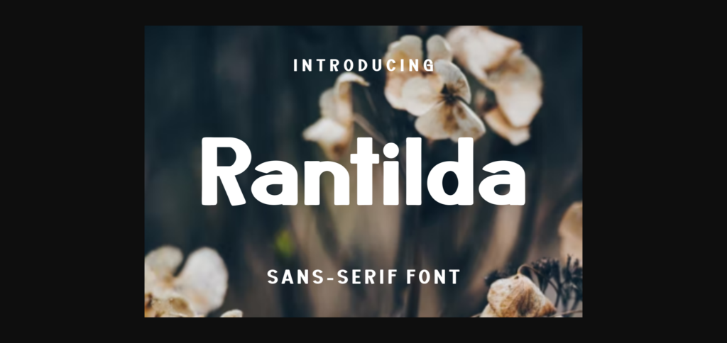 Rantilda Font Poster 3