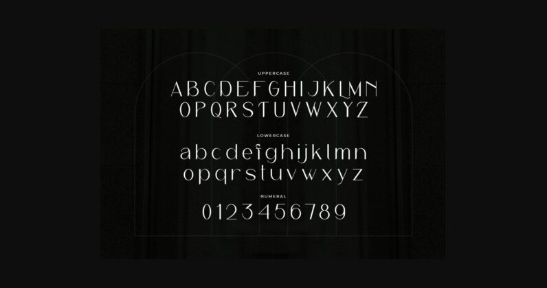 Reaste Elegant Font Poster 4