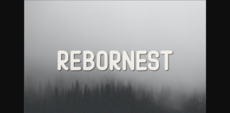 Rebornest Font Poster 1