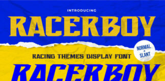 Recerboy Fonts